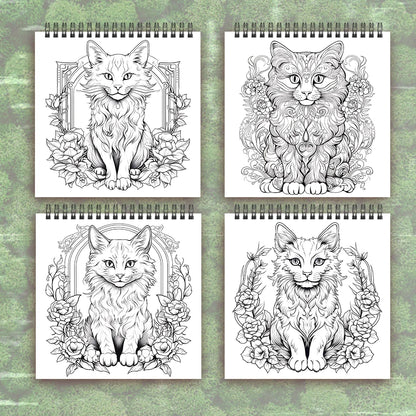 Animales