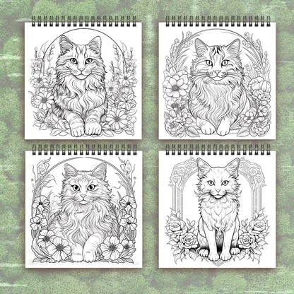 Animales